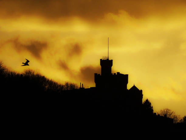 istock Silhouette of the Citadel in Budapest 1370912562