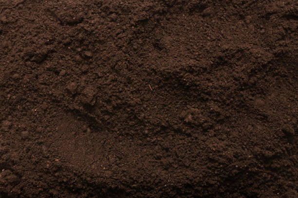 istock Black land for plant background. Top view. 1370912627