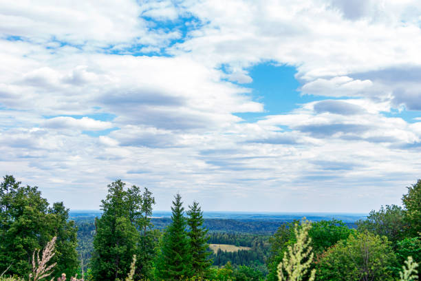 istock Natural beautiful landscape. View from mountain on forest valleys against blue cloudy sky. National park, layered Hills. Lookout point. Deciduous and coniferous forest, 1370912787