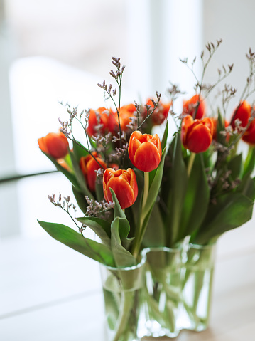 Red orange tulips indoors on kitchen table 
Close up of blooming tulips in natural light