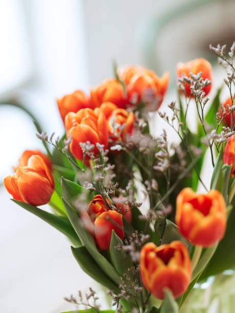 istock Red orange tulips indoors on kitchen table 1370914847