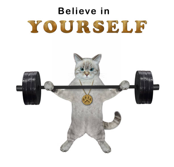 istock Cat ashen lifting heavy barbell 1370915297