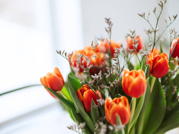rote orange tulpen drinnen auf küchentisch - tulip bouquet stock-fotos und bilder