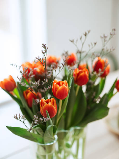 istock Red orange tulips indoors on kitchen table 1370916353