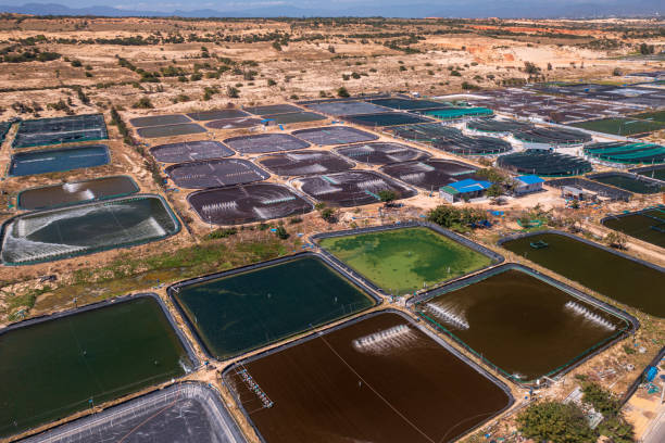 istock Shrimp and fish hatchery lake farm in Ninh Phuoc district 1370917145