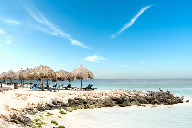 plaża kryta strzechą na arubie - aruba honeymoon tourist resort vacations zdjęcia i obrazy z banku zdjęć