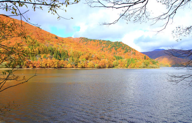 istock Lake Hibara in autumn 1370919958