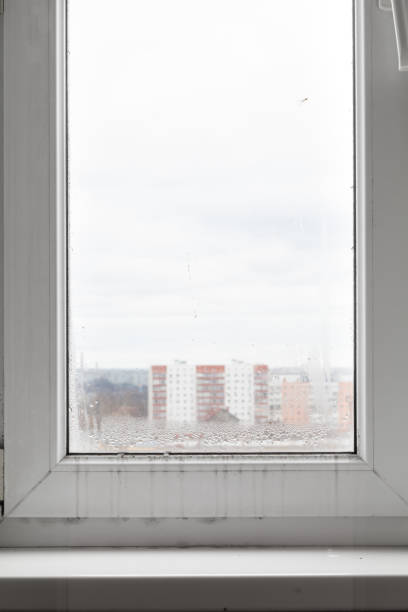 istock Poor quality windows. Due to poor ventilation, poor-quality installation of plastic windows caused the appearance of black fungus on the windows and window sills. Mold is a health hazard. 1370921274