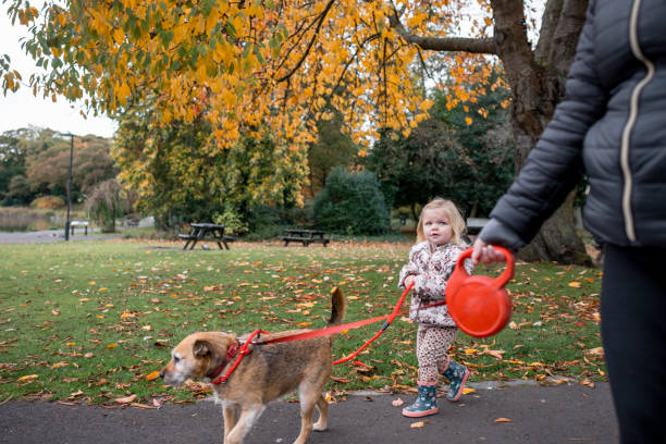 istock Dog Walk In The Park 1370921310