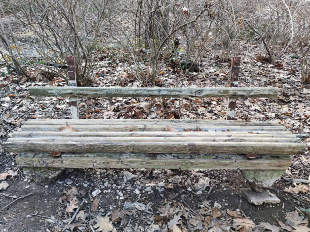 istock old broken wooden bench in autumn park 1370922117