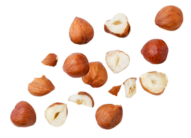Falling hazelnuts whole and pieces on a white background. Isolated Falling hazelnuts whole and pieces close-up on a white background. Isolated hazel tree stock pictures, royalty-free photos & images