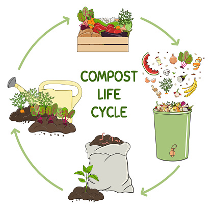 Compost life circle infographic. Composting process. Schema of recycling organic waste from collecting kitchen scraps to use compost for farming. Zero waste concept. Hand drawn vector illustration.