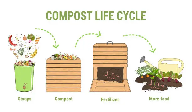 Vector illustration of Compost life circle infographic. Composting process. Schema of recycling organic waste from collecting kitchen scraps to use compost for farming. Zero waste. Hand drawn vector illustration.