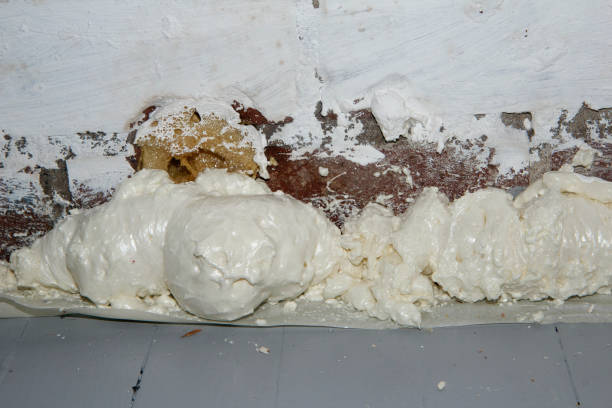 istock Expanding foam at the base of an interior brick wall - Polyurethane Foam. 1370923703