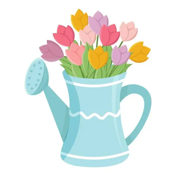 Vector illustration of Watering can with tulips