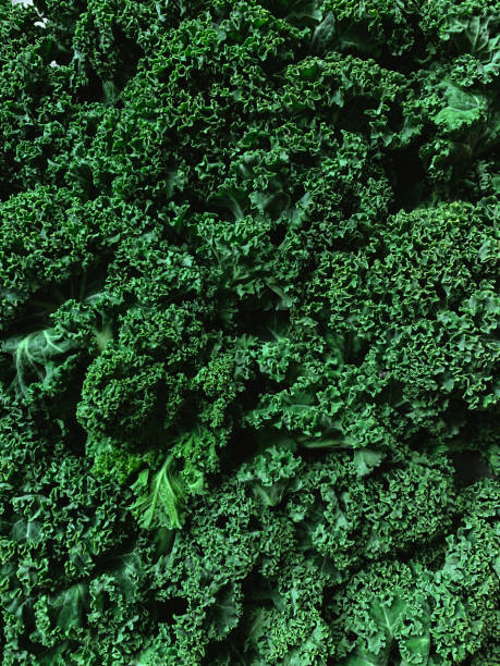 Curly green kale background. Full frame Fresh green kale leaves. Healthy eating healthy lifestyle kale stock pictures, royalty-free photos & images