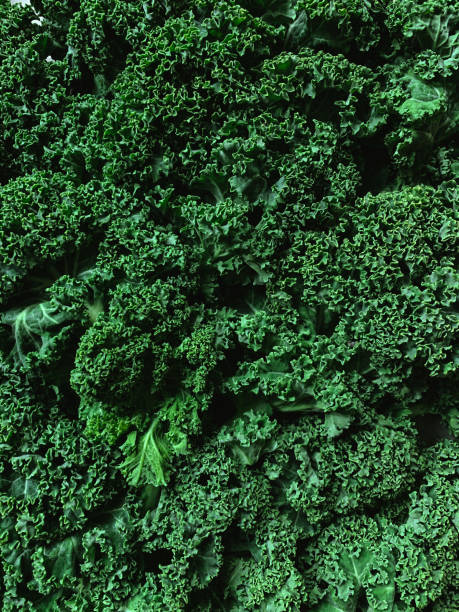 кудрявый зеленый фон капусты. полный кадр - parsley garnish leaf freshness стоковые фото и изображения