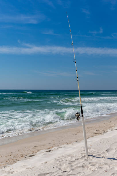 120+ Surf Fishing Poles Stock Photos, Pictures & Royalty-Free