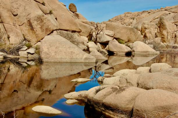 istock Boulders and water in Joshua Tree 1370932475
