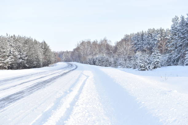 winter schneebedeckte straße und wald - winter landscape canada branch stock-fotos und bilder
