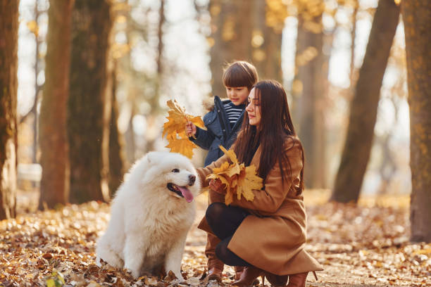 WIth cute dog. Mother with her son is having fun outdoors in the autumn forest stock photo