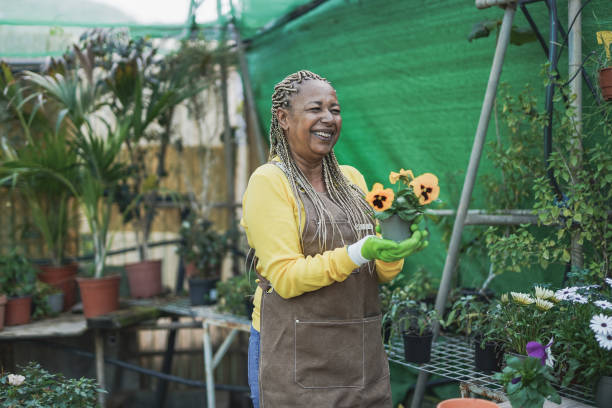 счастливая африканская женщина, работающая в садовом центре - gardening women florist flower стоковые фото и изображения
