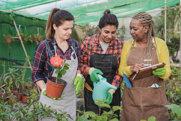 istock Mulitracial mature women working inside garden center using digital tablet 1370937488
