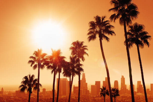 los angeles the skyline of los angeles with palm tress during sunrise los angeles county stock pictures, royalty-free photos & images