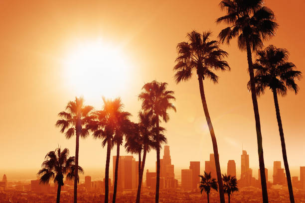 los angeles the skyline of los angeles with palm tress during sunrise downtown stock pictures, royalty-free photos & images