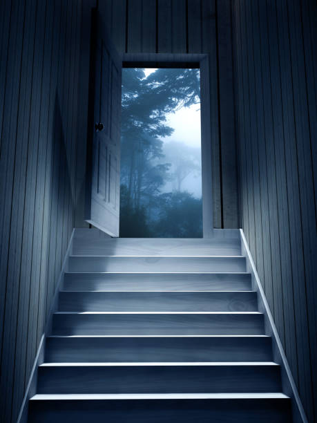 暗い地下室からドアを開けるステップ。出入り口の霧の森に木々がある神秘的な風景 - basement spooky cellar door ストックフォトと画像