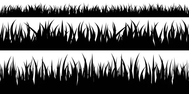 Vector illustration of Panoramic seamless grass silhouette for footer and design.