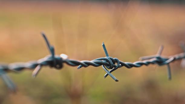 istock Sharp Barbed Wire Fence Around Cattle Pasture in Rural Agricultural Area 1370946971
