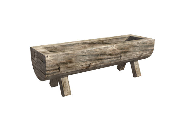 tree trunk wooden trough for cattle feed isolated on white background. 3D rendering