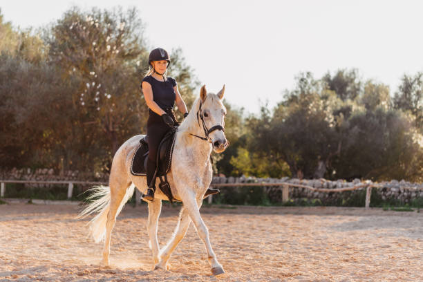 Blond woman riding her horse in beautiful backlight at a rustic stable outdoors in Majorca stock photo
