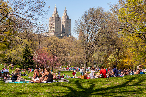 New York, NY, USA - July 10, 2017: Panoramic view of the iconic Central Park in New York city, USA during the summer season with lots of locals and tourists taking a sunbath and enjoying themselves.