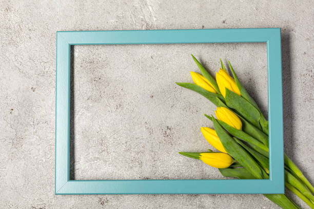 istock Fresh yellow tulip flowers on ultimate gray wall 1370953172