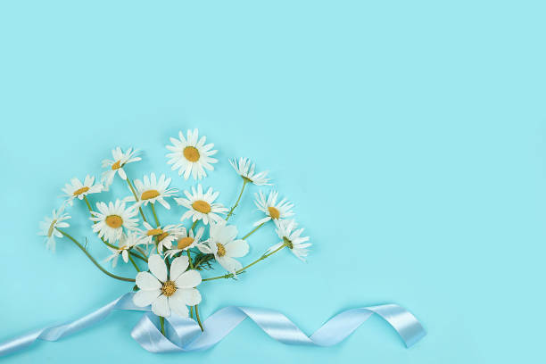 istock Summer composition with white chamomile flowers, concept hello summer, template for design, greeting card for Women's Day, Mother's Day, birthday, invitation, 1370955713