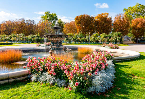 Dahlia flowers and fountain in Volksgarten park, Vienna, Austria Dahlia flowers and fountain in Volksgarten park, Vienna, Austria burgtheater vienna stock pictures, royalty-free photos & images