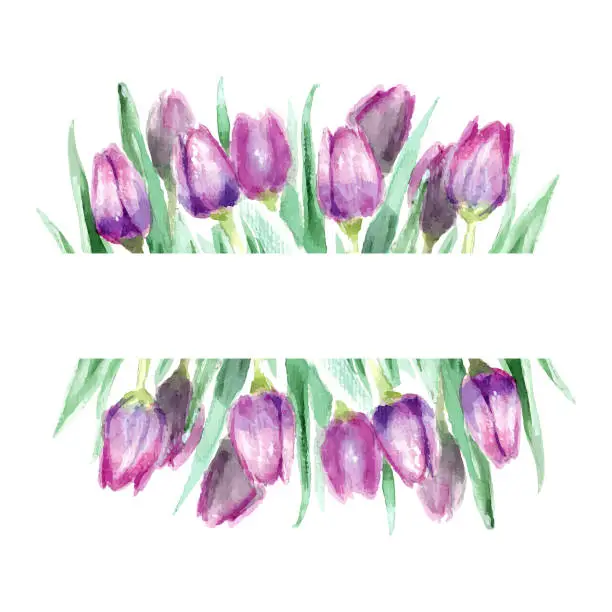 Vector illustration of Watercolor tulips