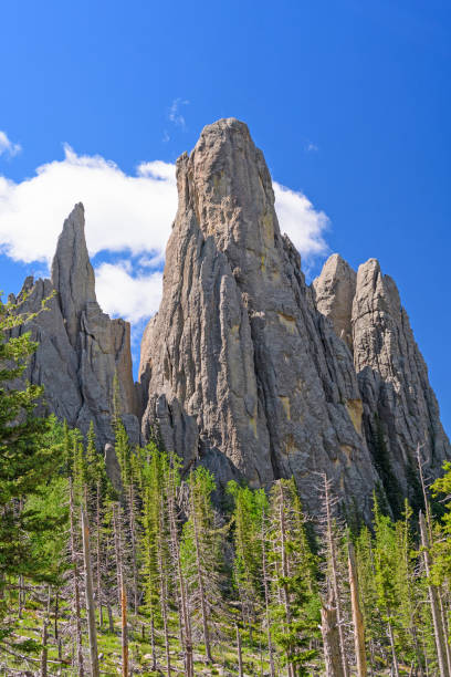 Granite Monoliths Jutting Out of the Ground Granite Monoliths Jutting Out of the Ground in the Black Hills in Custer State Park in South Dakota custer state park stock pictures, royalty-free photos & images