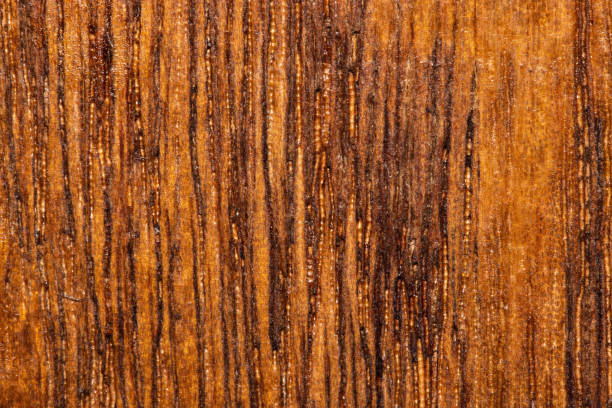 istock macro texture of old lacquered wooden wardrobe 1370970432