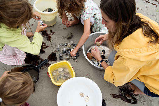 Mother and daughters sorting shells on the beach on an overcast day. End of summer chilly day, off-season holidays. Mom is in her forties, girls are 4, 6 and 8 year’s old. Horizontal outdoors high angle view shot with copy space.