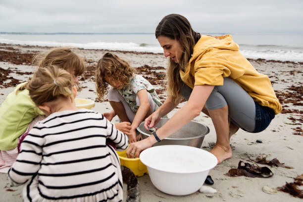 istock Mother and daugthers sorting shells on a beach on overcast day. 1370973852