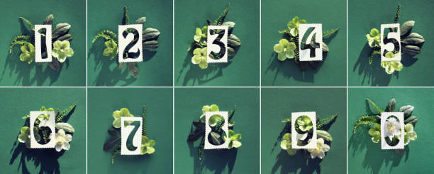 White paper numbers one to ten and zero on green. White and green helleborus winter rose flowers. Composite image, design elements stock photo