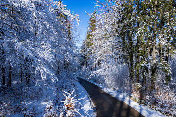 A curved mountain country road in the middle of the snowy forest