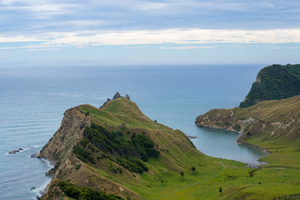 istock Headland at Cook's Cove 1370978278