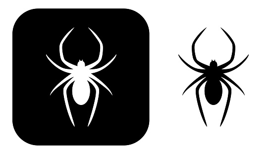 Vector illustration of two black and white spider icons.