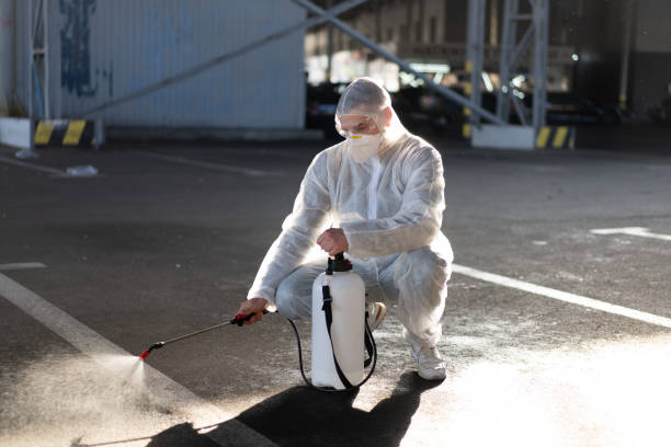 istock Man dressed white protective overalls spraying surface antibacterial sanitizer sprayer during quarantine 1370983945