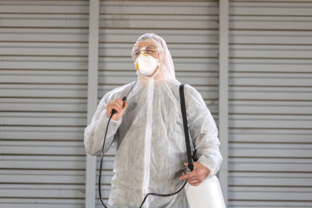 istock Worker wearing protective suit disinfection gear disinfect surface public place 1370983956