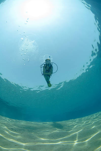 Adult Female scuba diver in bikini diving in shallow tropical water